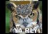O RLY?