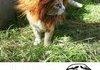 I want one