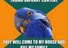 Paranoid parrot