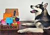 Doggy Bark box