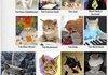 lolcat yearbook