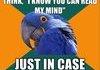 Psychic Paranoid Parrot