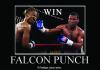 FALCON WIN