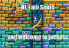 Sonic