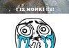 Monki stail