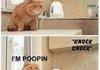 I'M POOPIN!!