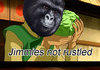Rustled MY CABBAGES