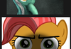 Ponycomp 238