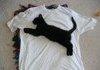 PUMA SHIRT