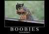 Bewbies
