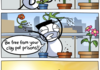 Poor plants