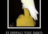Flipping the bird