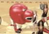 mascot eats cheerleader