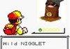 Pokemon:Black Version
