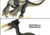 Evolution