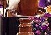 CHOCOLATE BIRD!!!
