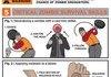 Zombie survival guide