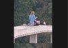 nash bridges