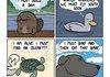 Animals have amazing instincts
