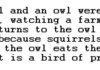 The squirrel and the owl