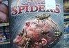 Spiders
