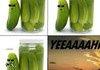 pickle