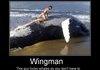 Wingman