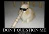 Dont Question Me