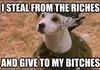 I steal from the riches....