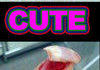 Cute-Nope