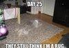 this is dog