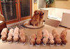 Family photo
