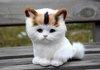 cuteness lv 9001