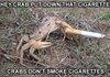 Smoking Crab
