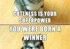 Bringin cuteness back!