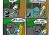 Could be a Bear