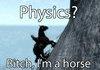skyrim horse