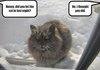 Frozen Pussy