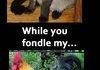 Hey Ladies....