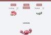 Pokemon Fusion
