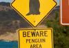 BEWARE~~~
