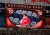 Kiss Cam Fail
