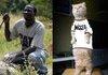 Cat - Nigger