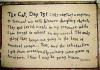 Cat Diary