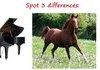 Differences