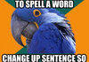 Paranoid Parrot