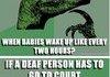 Philosoraptor