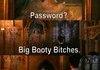 Big Booty Bitches