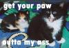 paws off!