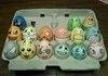Pokemon Eggs!